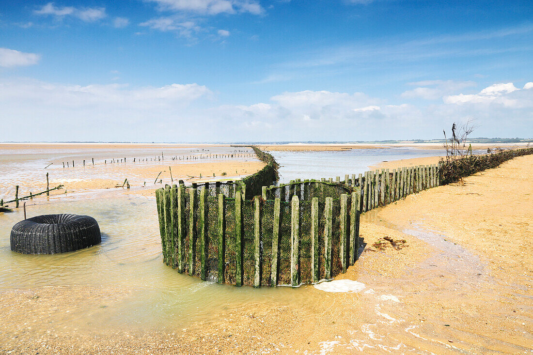 France. Normandy. Department of Manche. Hauteville sur Mer at low tide during the summer. View of the La Maillard fishery,one of the rare fisheries still active in Europe.