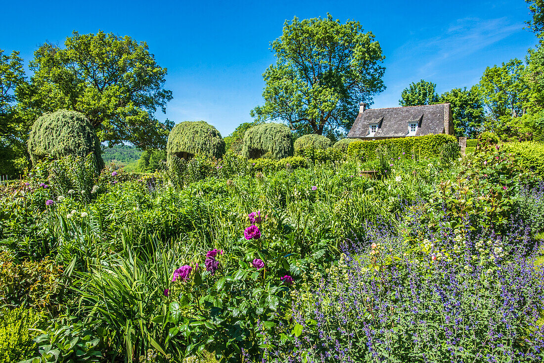 France,Perigord Noir,Dordogne,Jardins du Manoir d'Eyrignac (Historical Monument),Fleuriste garden