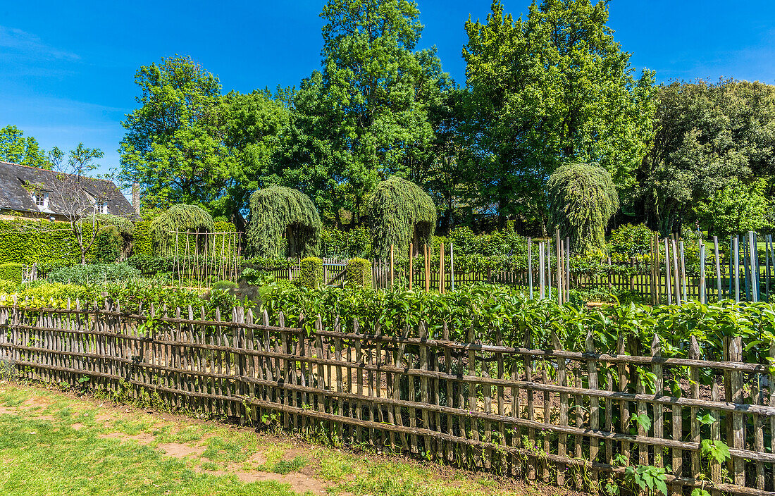 France,Perigord Noir,Dordogne,Jardins du Manoir d'Eyrignac (Historical Monument),vegetable garden