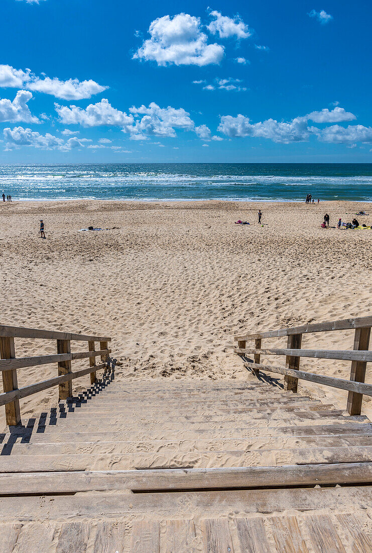 France,New Aquitaine,Landes,Lit-et-Mixe,access stairway to the Cap de l'Horny beach