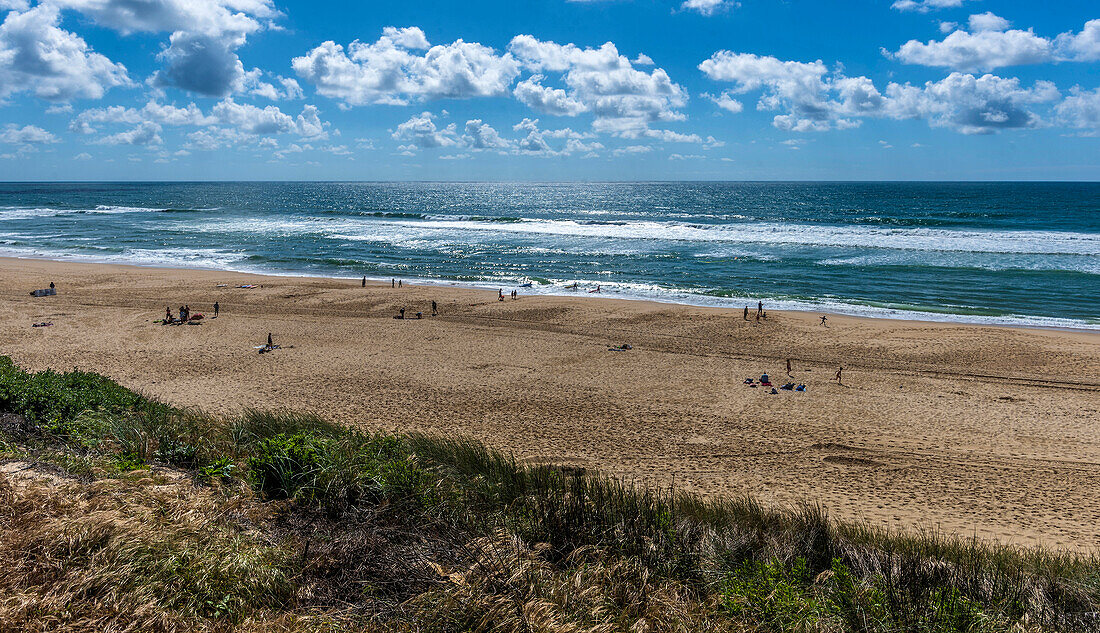 France,New Aquitaine,Landes,Lit-et-Mixe,Cap de l'Horny beach