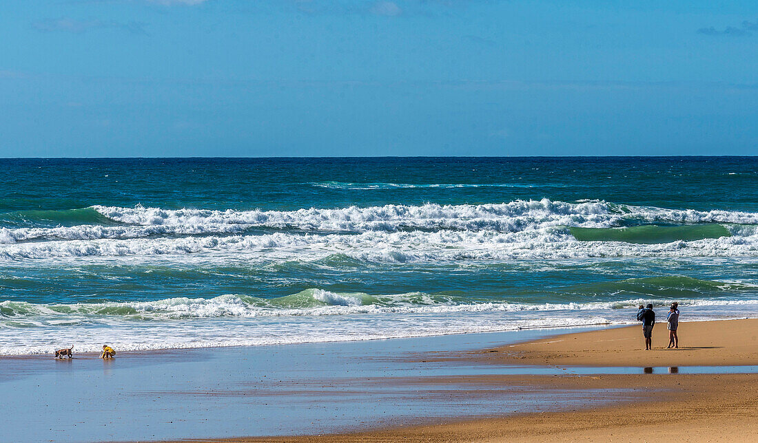 France,New Aquitaine,Landes,Saint-Julien-en-Born,Contis beach