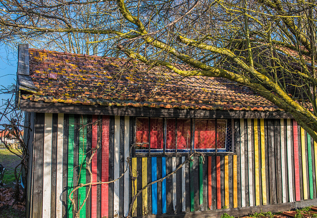 France,New Aquitaine,Arcachon Bay,coloured hut of the Teste-de-Buch oyster port