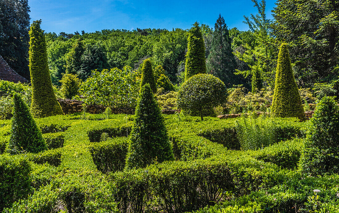 France,Perigord,Dordogne,Cadiot Gardens in Carlux (Remarkable Garden certification label),topiaries