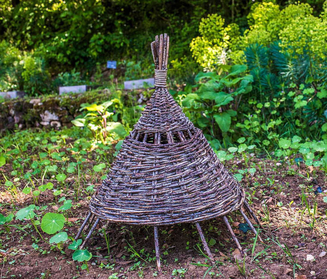 France,Perigord,Dordogne,Cadiot gardens in Carlux ( Remarkable Garden certification label),wicker shelter for seedlings