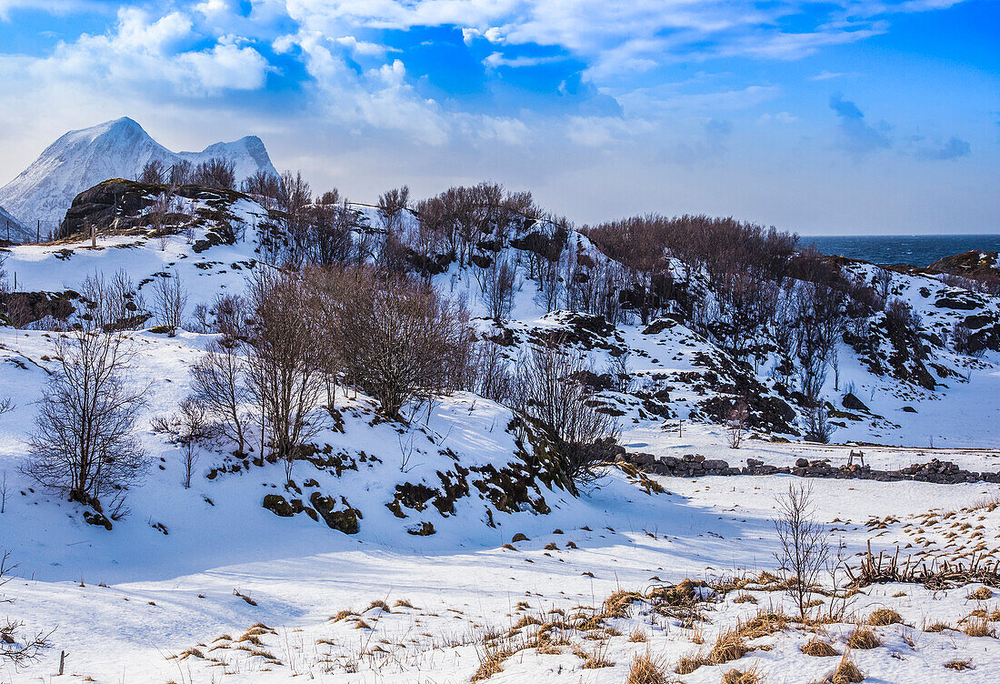 Norway,city of Tromso,Island of Senja,snowy landscape