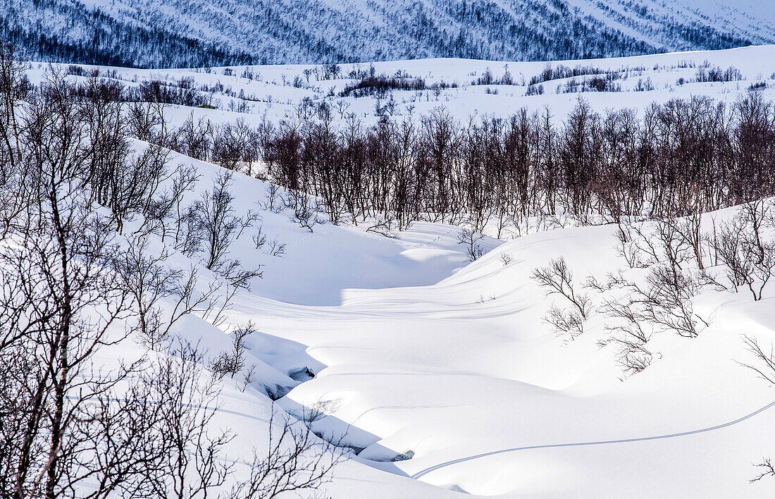 Norway,city of Tromso,Island of Senja,snowy landscape