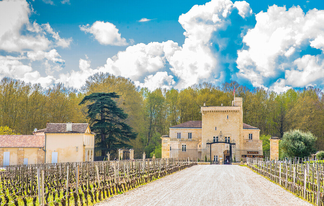 France,Nouvelle-Aquitaine,Medoc,chateau La Tour Carnet,"Grand cru classe" (Certified second growth) of the AOC Haut-Medoc (Controlled designation of origin)