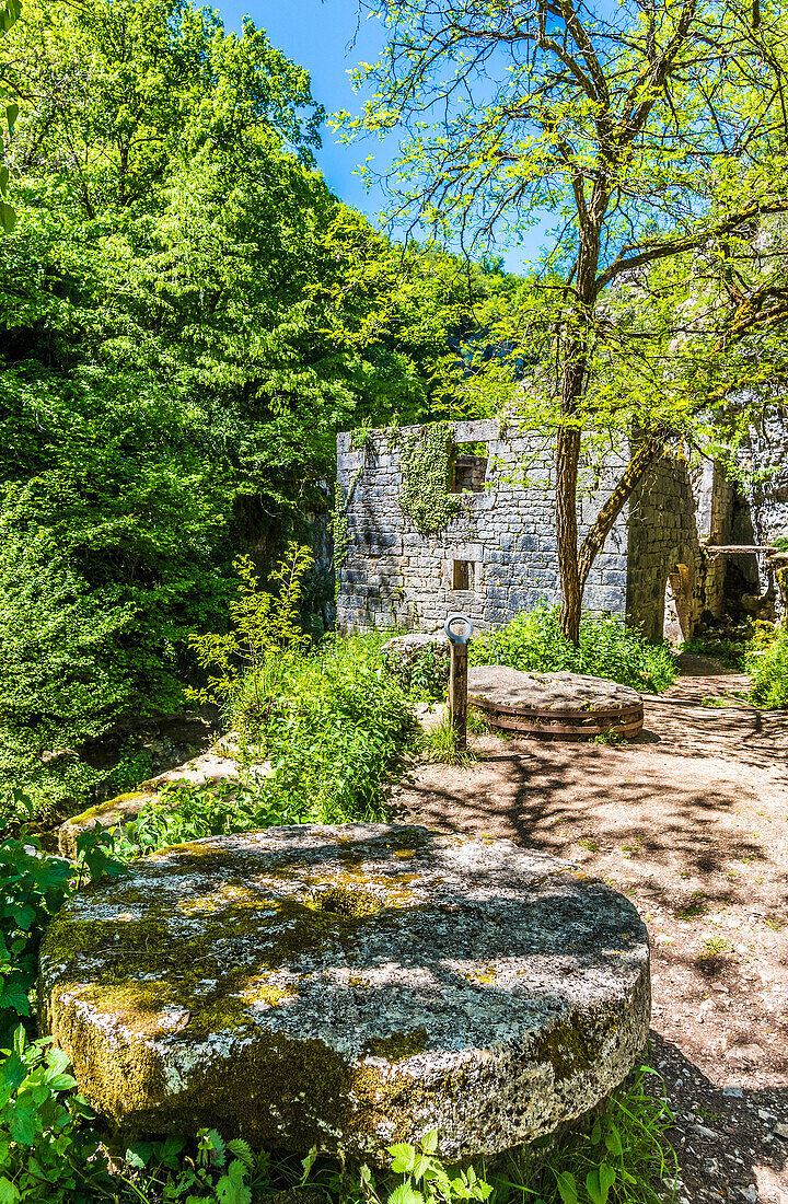 France,Causses du Quercy natural regional Park,Lot,Natural sensitive space of the Lot,Alzou valley,ruins of the Moulin du Saut and millstones (Saint James way)