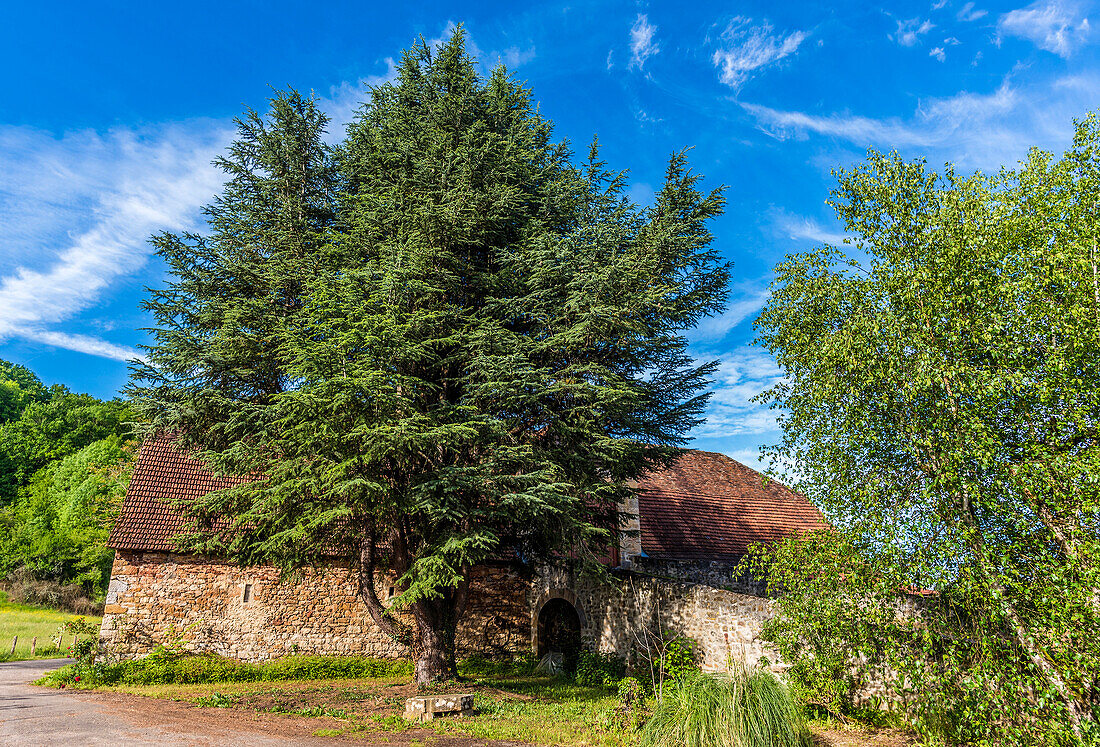 France,Causses du Quercy natural regional Park,Lot,Prudhornat barn-cowshed (19th century)