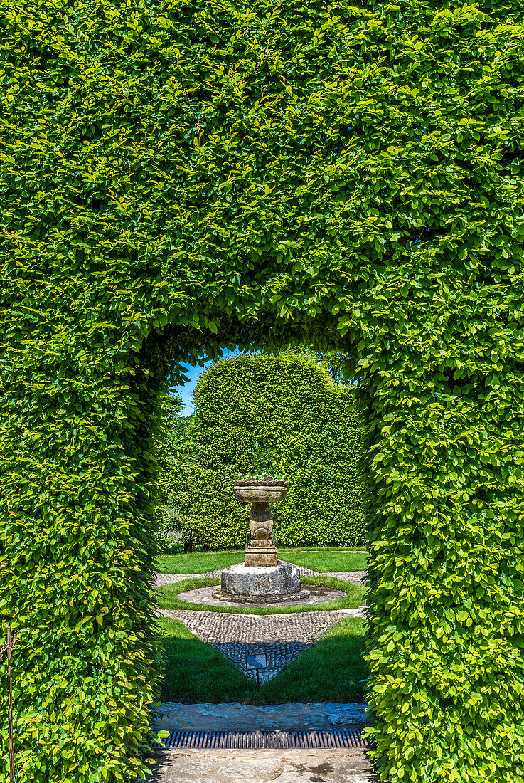 France,Perigord Noir,Dordogne,Jardins du Manoir d'Eyrignac (Historical Monument),clipped hedge