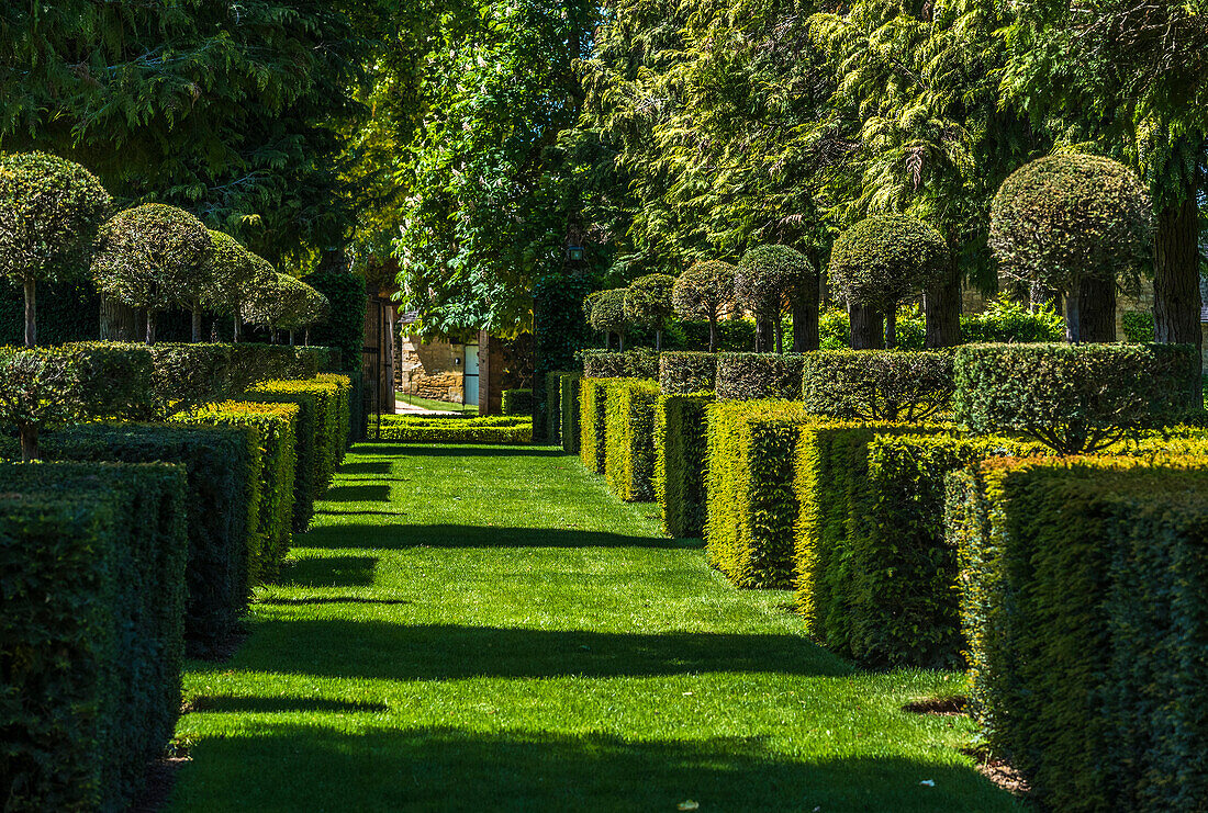 France,Perigord Noir,Dordogne,Jardins du Manoir d'Eyrignac (Historical Monument),topiary of the vase alley