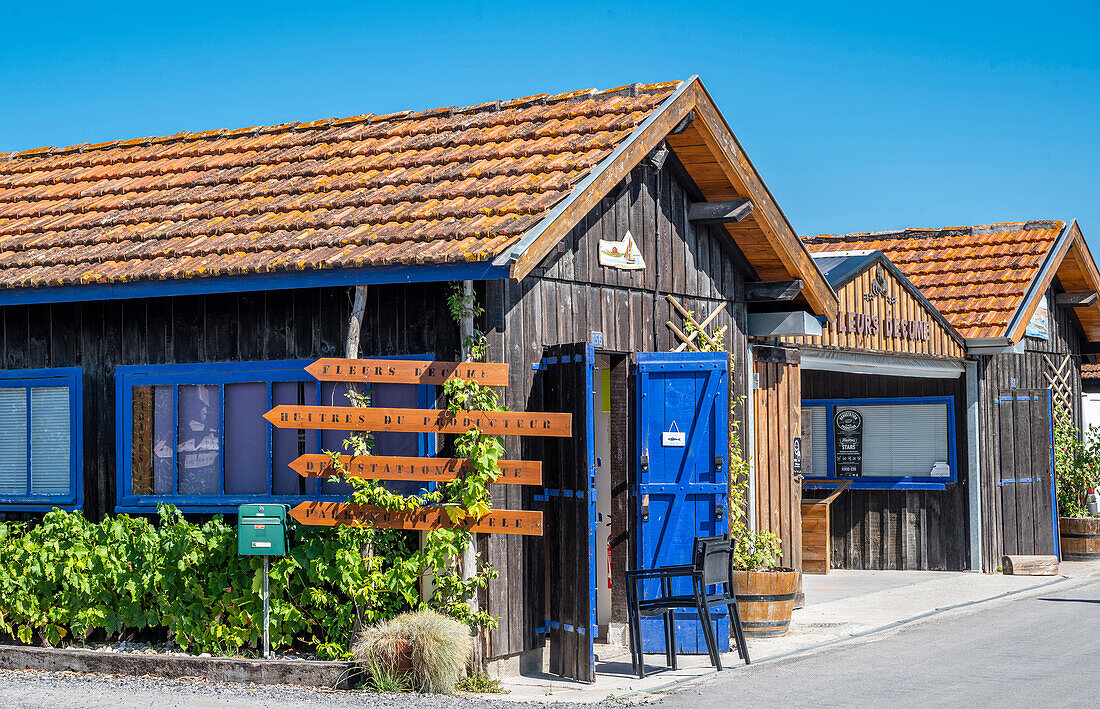 France,Arcachon Bay (Bassin d'Arcachon),oyster tasting hut at the oyster port of La Teste de Buch "Fleur d'Ecume" (Domaine Public Maritime)