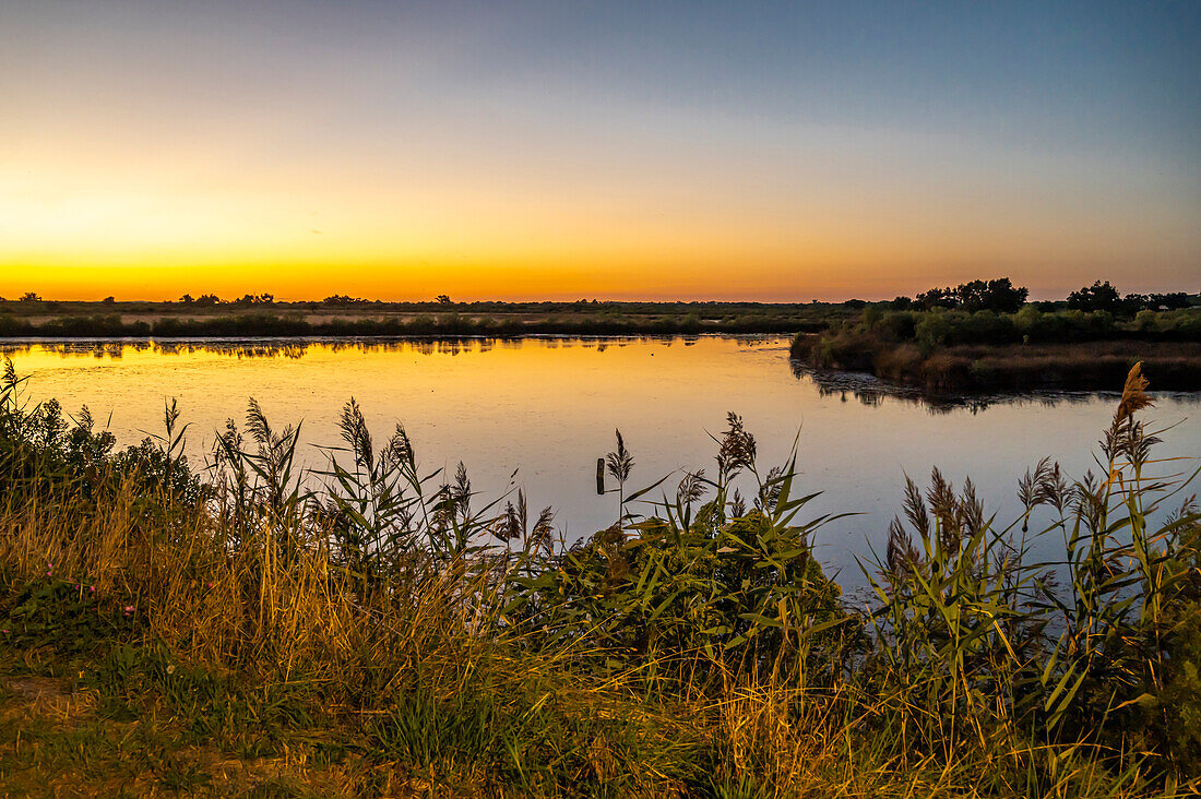 France,Arcachon bay (Bassin d'Arcachon),Audenge,sunset over a pond of the Domaine de Certes et Graveyron (Conservatoire du Littoral)