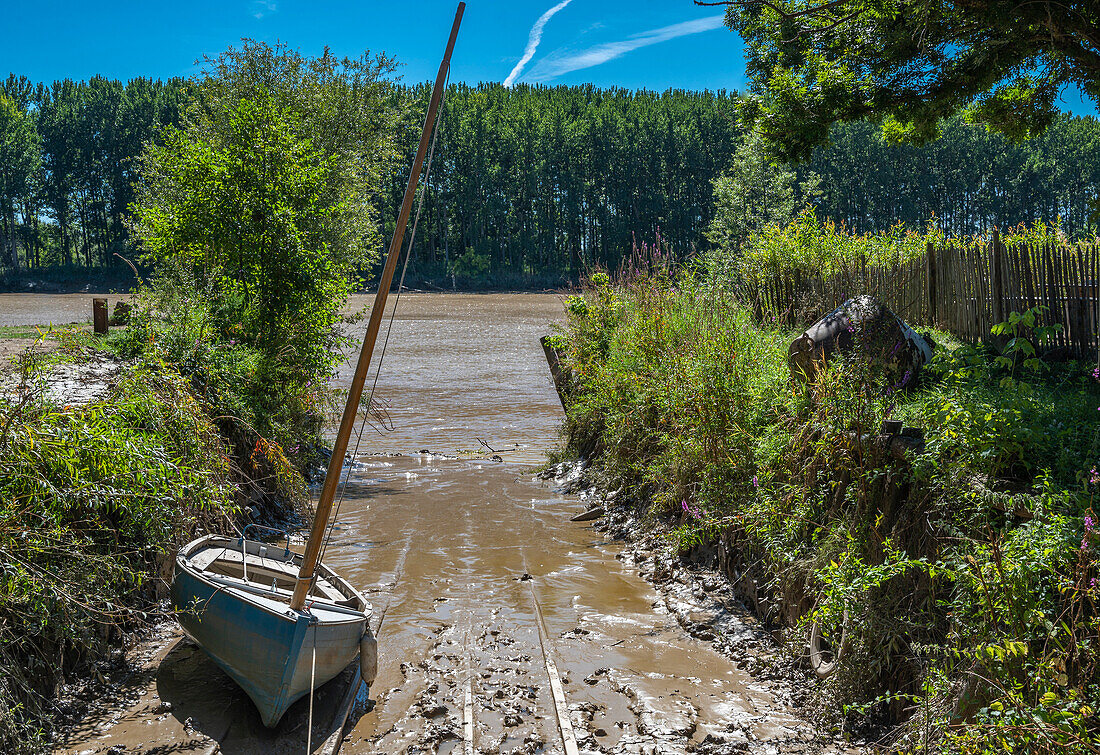 France,Gironde,Entre-deux-Mers,estey flowing into the Garonne at Le Tourne