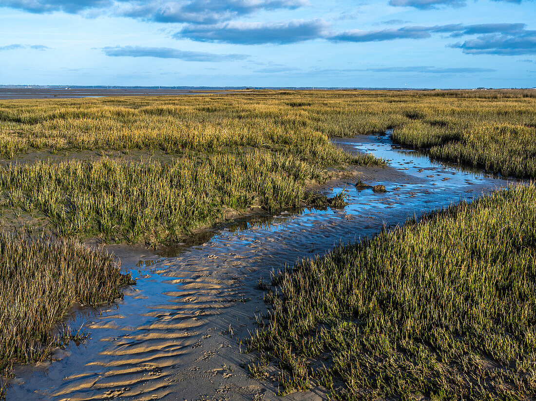 France,Gironde,Bassin d'Arcachon,the beach of La Hume at low tide in Gujan-Mestras