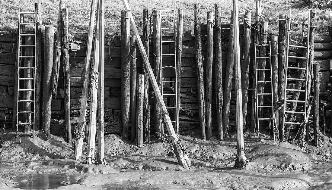 France,Gironde,Bassin d'Arcachon,access ladders to the oyster port of Teste-de-Buch,at low tide