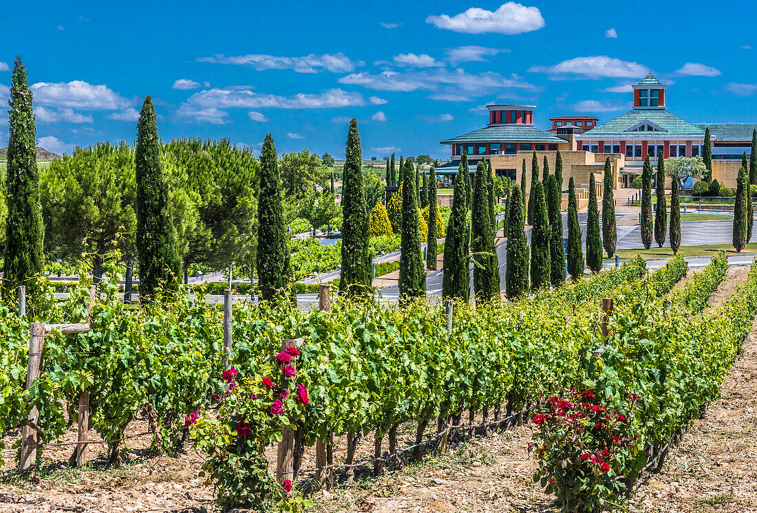 Spain,Rioja,Briones medieval village (Most beautiful village in Spain),museum of the wine culture,Bodega Vivanco,(St James way)