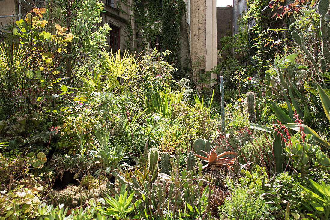 France,Nantes,44,Passage Bouchaud,"Inner Jungle" of Evor,as part of the Voyage a Nantes,May 2021.