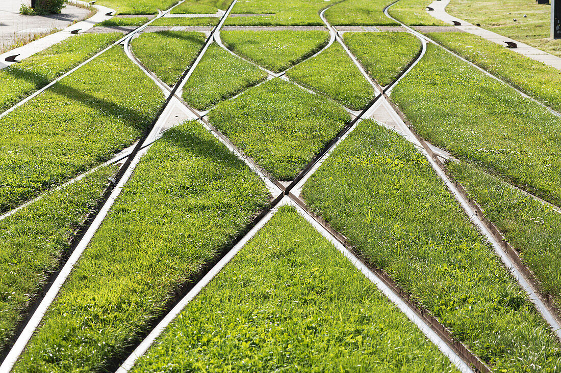 France,Nantes,44,grass between the tram rails at the terminus of the Reze-Pont-Rousseau SNCF station