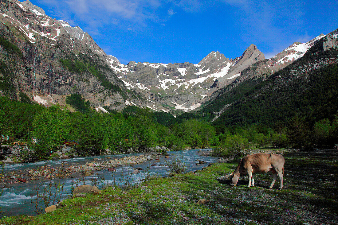 Spain,Aragon,Province of Huesca,Bielsa,Pineta valley and cirque (national park of Ordesa ans Monte Perdido moutain) unesco world heritage