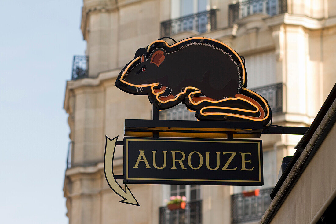 France,Paris,75,1st arrondissement,signs of the company Julien Aurouze deratting specialist