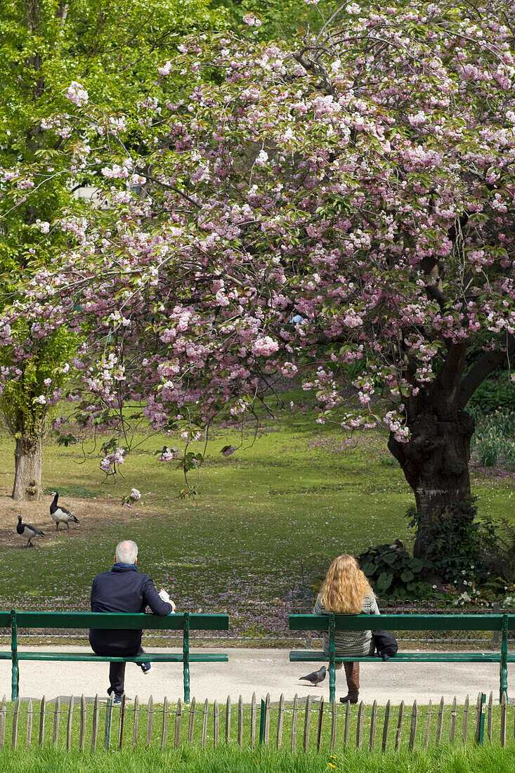 Frankreich,Paris,75,17. Arrondissement,Square des Batignolles,Frühling