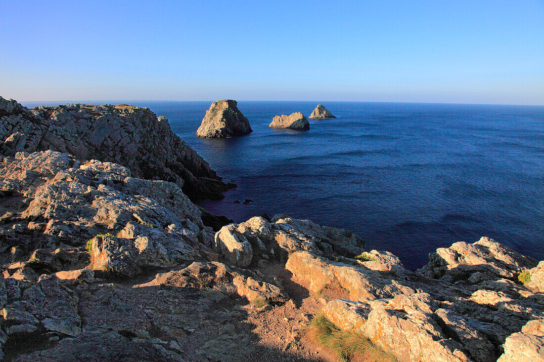 France,Brittany,Finistere department (29),Crozon peninsula,Camaret sur mer,Pointe of Penhir and Tas de Pois roc