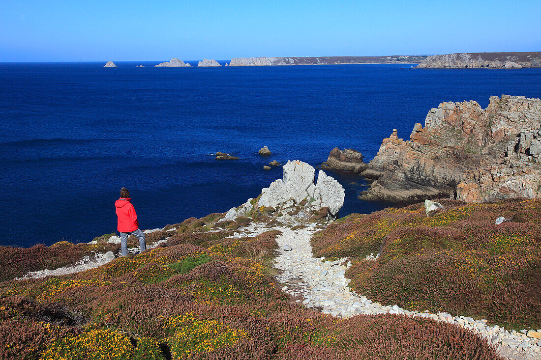 France,Brittany,Finistere department (29),Crozon peninsulaCrozon, pointe of Dinan,in the background Pointe of Pen Hir and the Tas de Pois