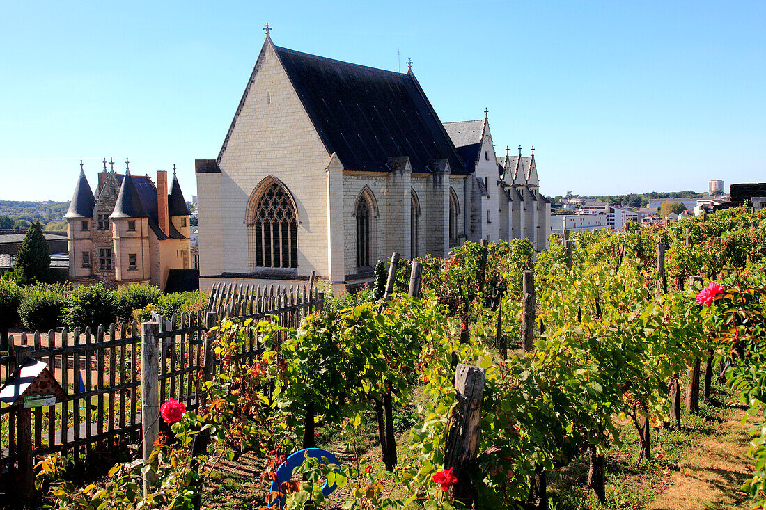 France,pays de la loire,Maine et Loire (49),Angers castle,the chapel