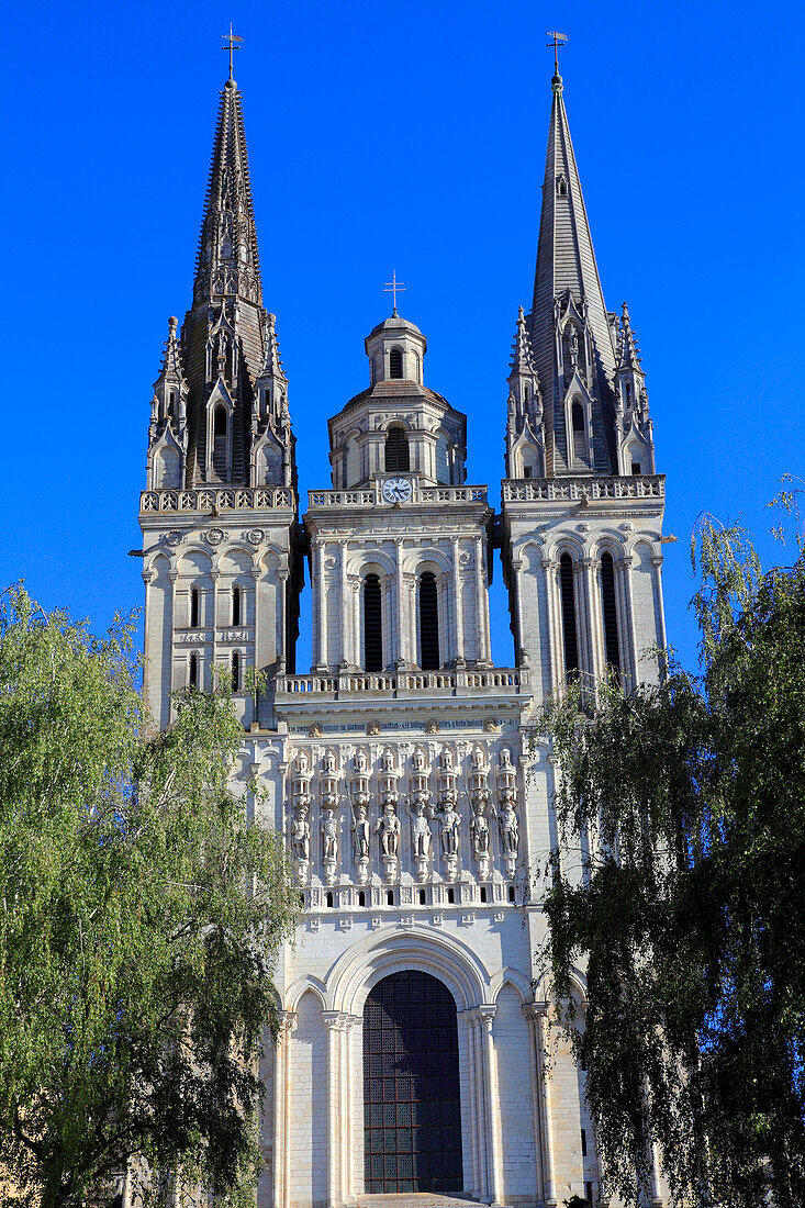 France,pays de la loire,Maine et Loire (49),Angers cathedral