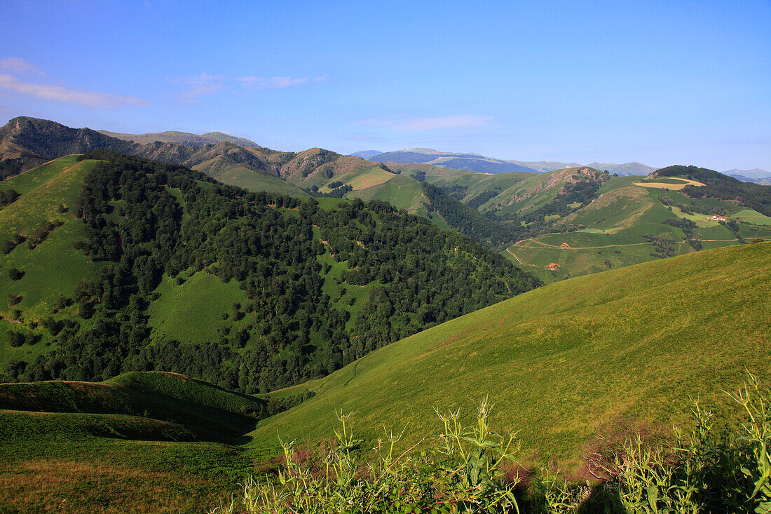 France,Nouvelle Aquitaine,Pyrenees atlantique (64),French Basque country,Basque mountain between Mendive and Iraty