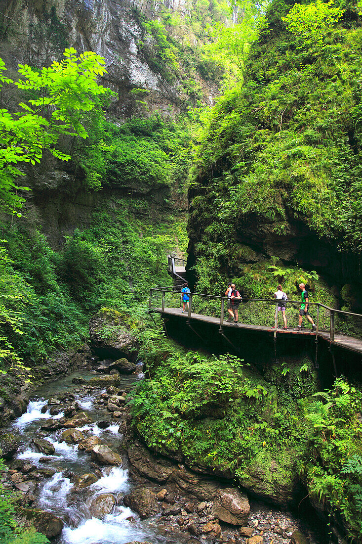 Frankreich,Nouvelle Aquitaine,Pyrenees atlantique (64),French Basque country,Sainte Engrace,Kakouetta gorges