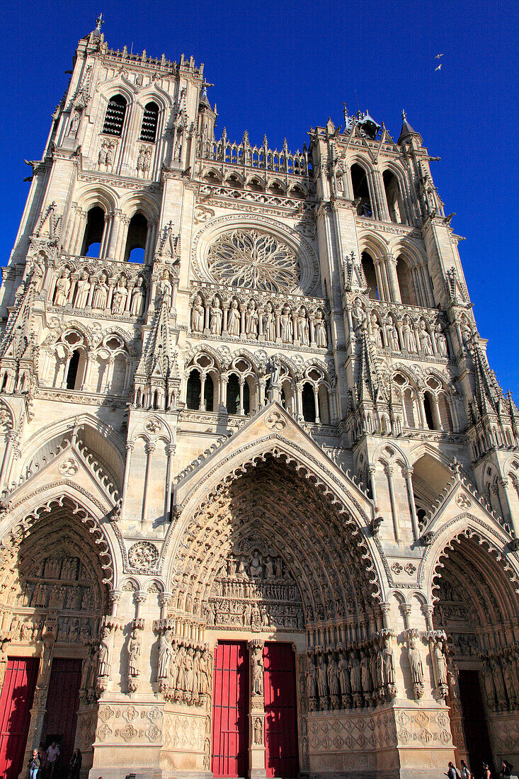 France,Hauts de France,Somme department (80),Amiens,Notre Dame cathedral,unesco world heritage