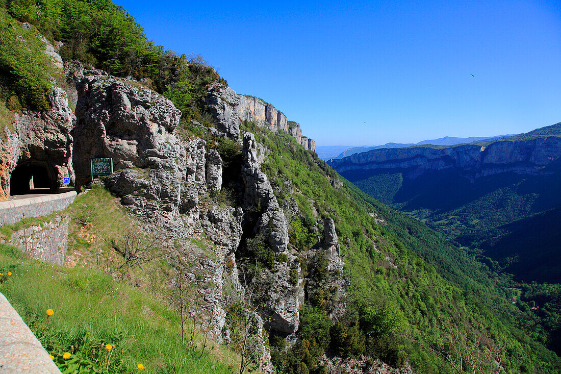 France,Auvergne Rhone Alpes,Drome department (26),Saint Jean en royans,combe laval near col de la Machine