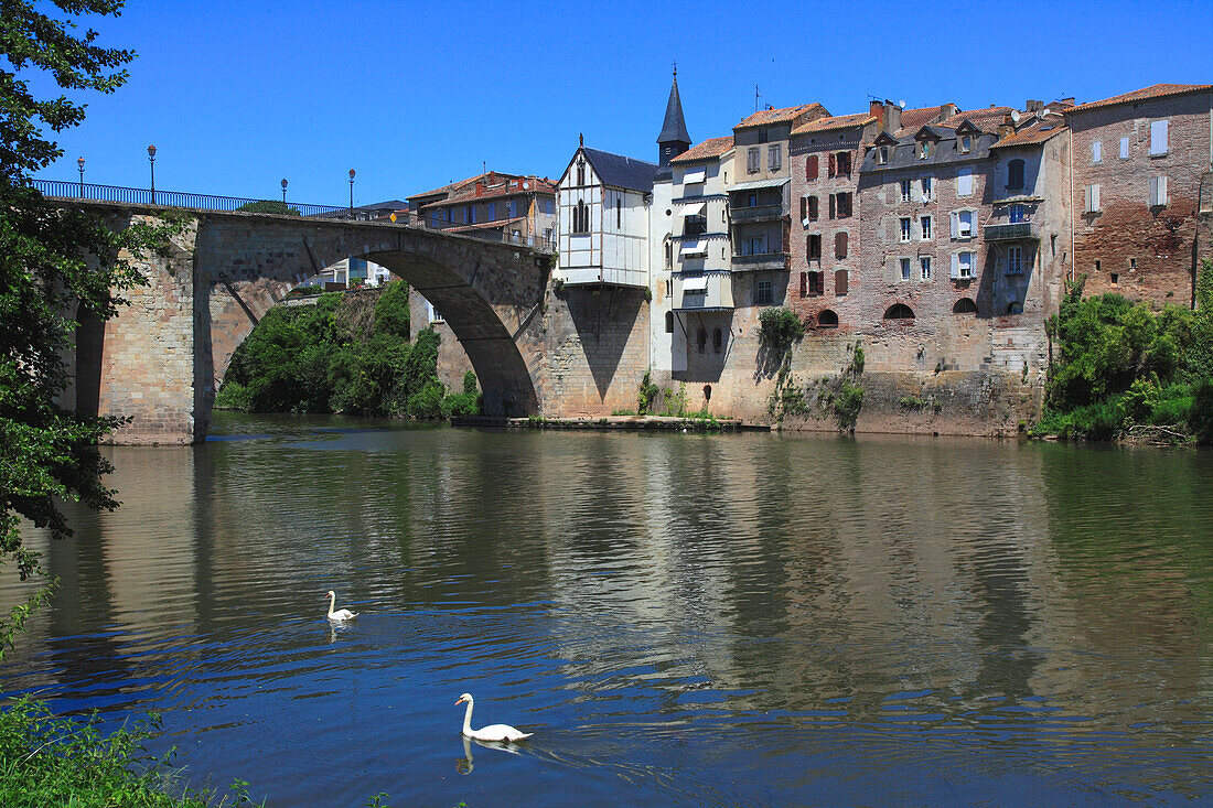 France,Nouvelle Aquitaine,Lot et Garonne department (47),Villeneuve sur Lot,old bridge and Lot river