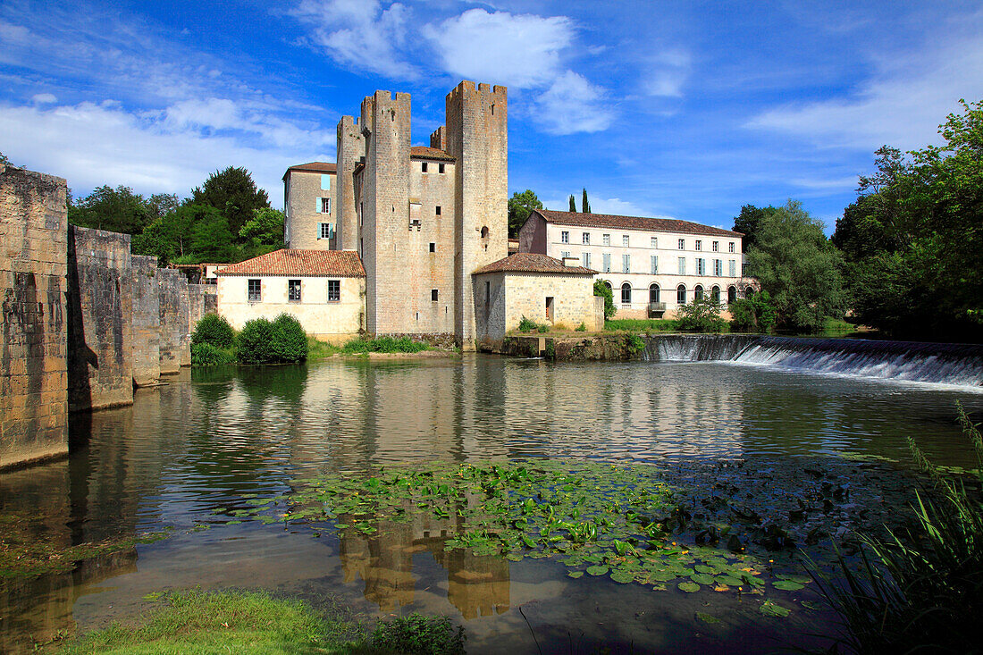 France,Nouvelle Aquitaine,Lot et Garonne department (47),Barbaste,Moulin des Tours (mill) and romanesque bridge