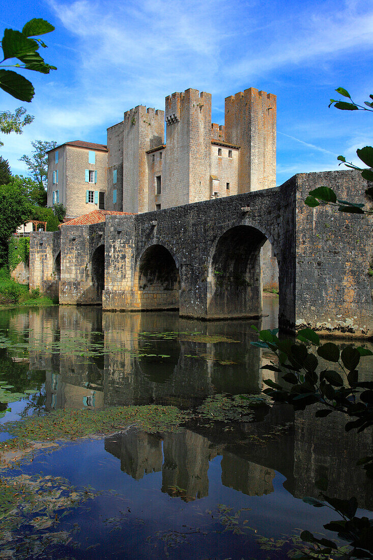 France,Nouvelle Aquitaine,Lot et Garonne department (47),Barbaste,Moulin des Tours (mill) and romanesque bridge