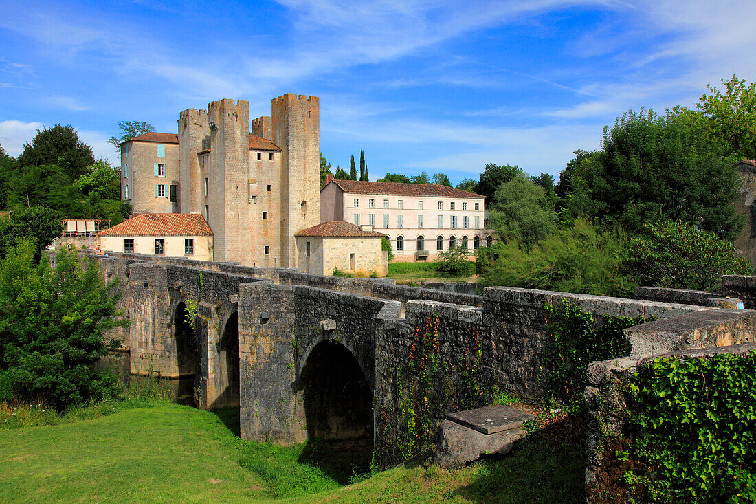 France,Nouvelle Aquitaine,Lot et Garonne department (47),Barbaste,Moulin des Tours (mill) and romanesque bridge