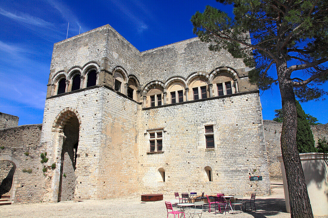 France,Auvergne Rhone Alpes,Drome department (26),Montelimar,the castle