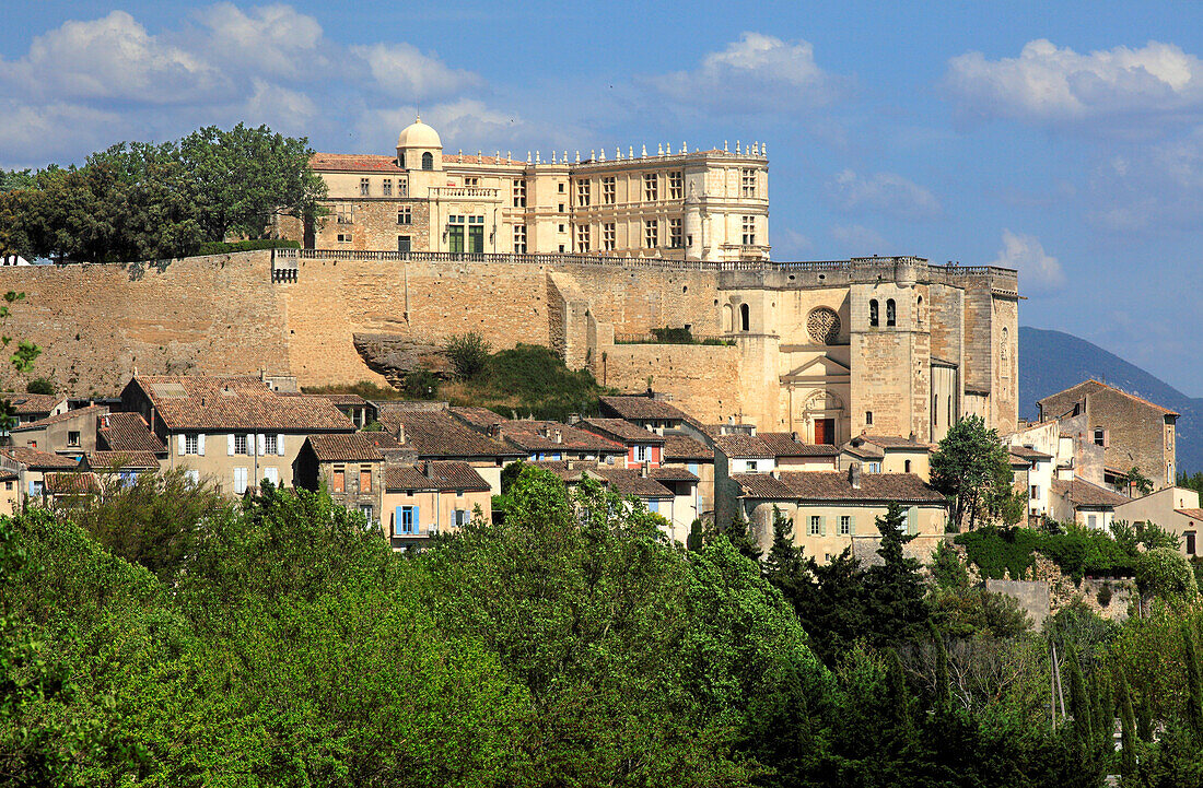 France,Auvergne Rhone Alpes,Drome department (26),Grignan,the castle