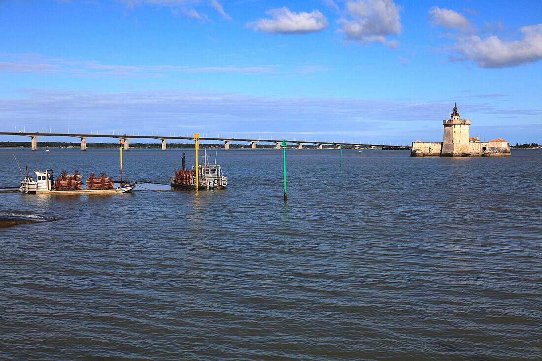 Frankreich,Nouvelle Aquitaine,Charente Maritime department (17),Marennes area,Bourcefranc le Chapus