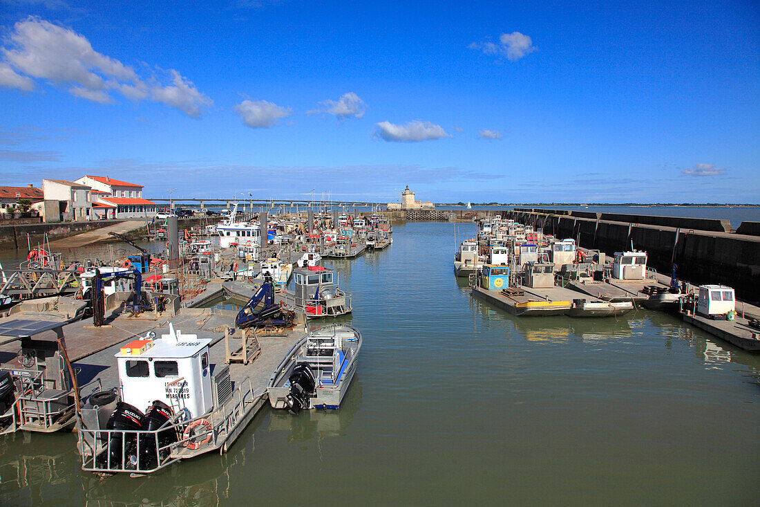 Frankreich,Nouvelle Aquitaine,Charente Maritime department (17),Marennes area,Bourcefranc le Chapus