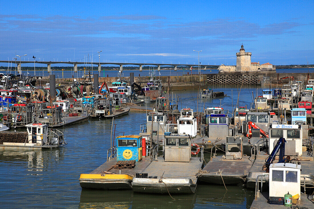 Frankreich,Nouvelle Aquitaine,Charente Maritime department (17),Marennes area,Bourcefranc le Chapus