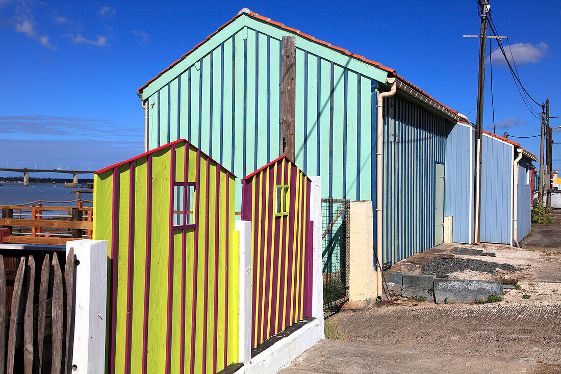 Frankreich,Nouvelle Aquitaine,Charente Maritime department (17),Marennes area,Bourcefranc le Chapus