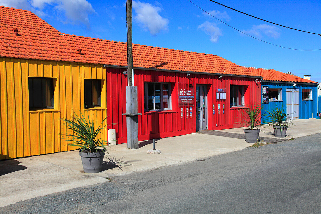 Frankreich,Nouvelle Aquitaine,Charente Maritime department (17),Marennes area,Bourcefranc le Chapus