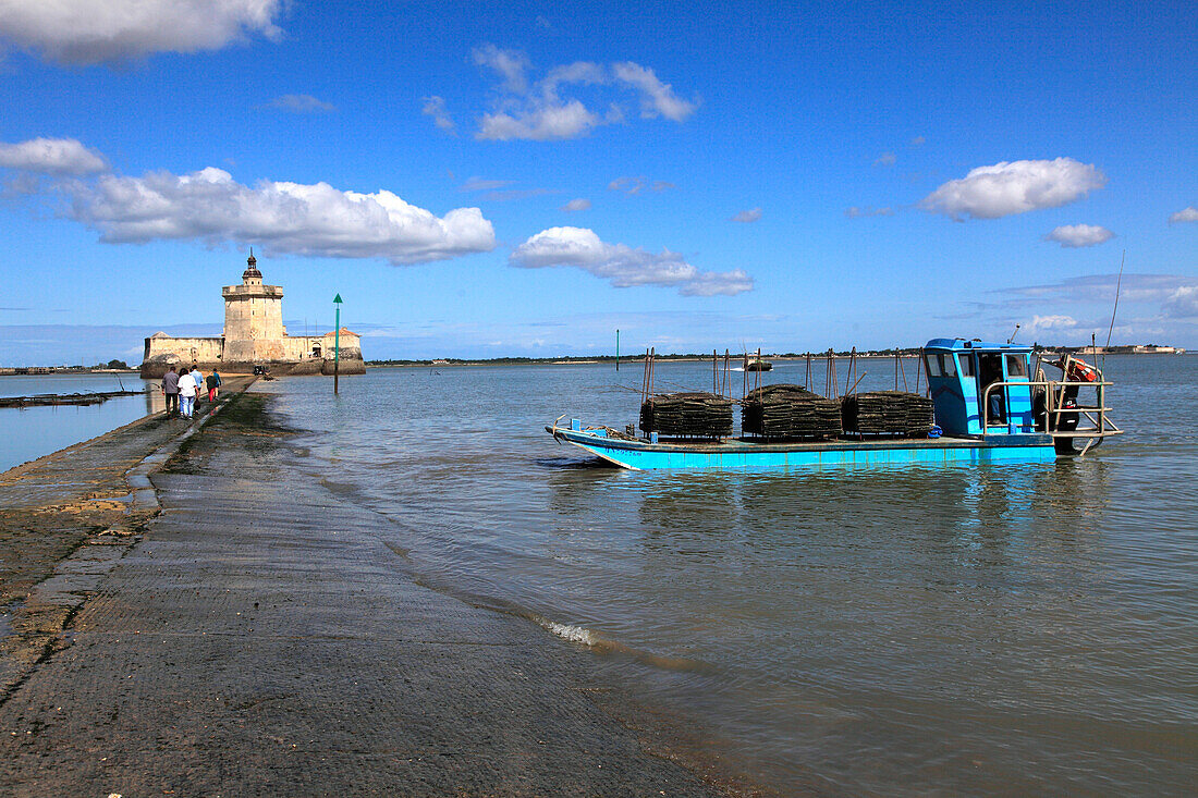 France,Nouvelle Aquitaine,Charente Maritime department (17),Marennes area,Bourcefranc le Chapus,fort Louvois