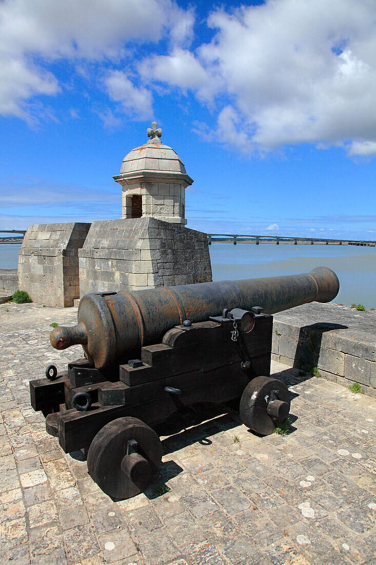 Frankreich,Nouvelle Aquitaine,Charente Maritime department (17),Marennes area,Bourcefranc le Chapus,fort Louvois