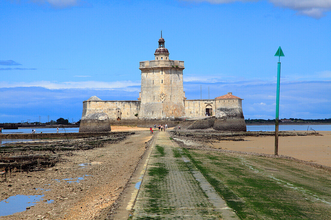 France,Nouvelle Aquitaine,Charente Maritime department (17),Marennes area,Bourcefranc le Chapus,fort Louvois