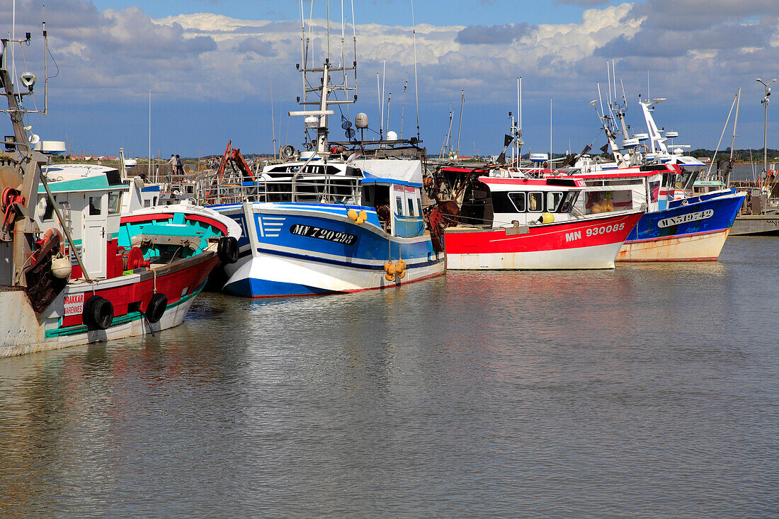 Frankreich,Nouvelle Aquitaine,Charente Maritime department (17),Marennes area,Bourcefranc le Chapus